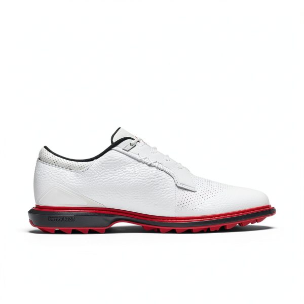 Nike Jordan ADG 5 Golf Shoes Men Waterproof Spiked-2
