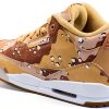 Nike Women's Basketball Shoes HM4301-200 Dark Driftwood Sail Hemp 200-1